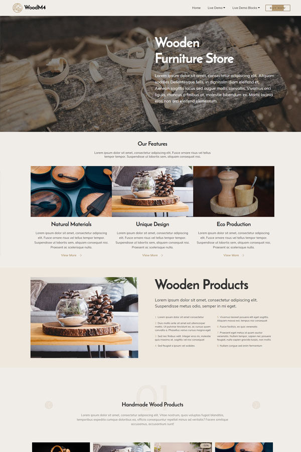 Furniture Website Template